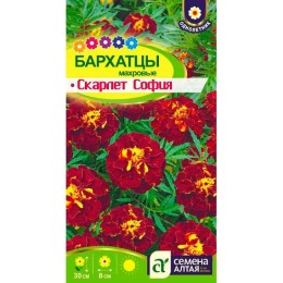 Бархатцы отклоненные Скарлет София 0.2г (Семена Алтая)
