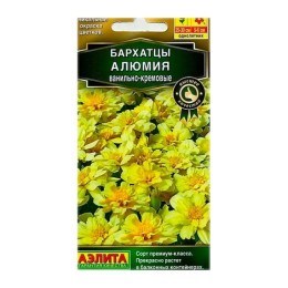 Бархатцы отклоненные Алюмия ванильно-кремовые 7шт (Аэлита)