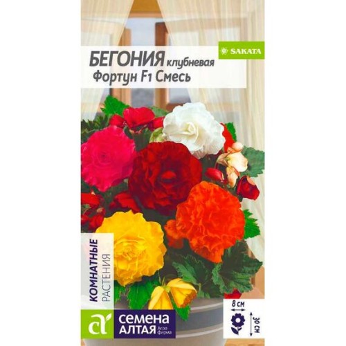 Бегония клубневая Фортун F1 Смесь 4шт (Семена Алтая)