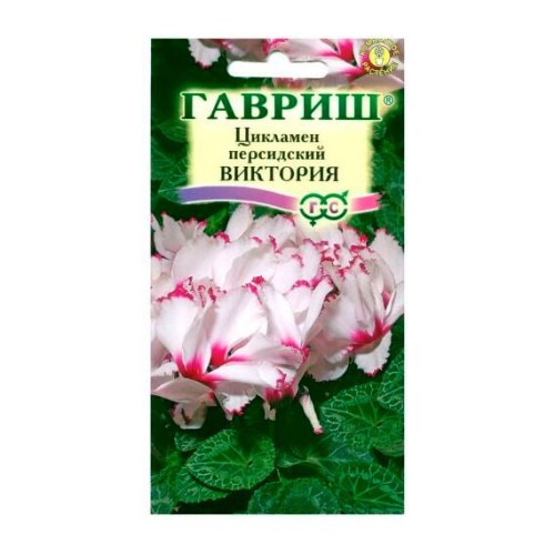 Цикламен персидский Виктория 3шт (Гавриш)