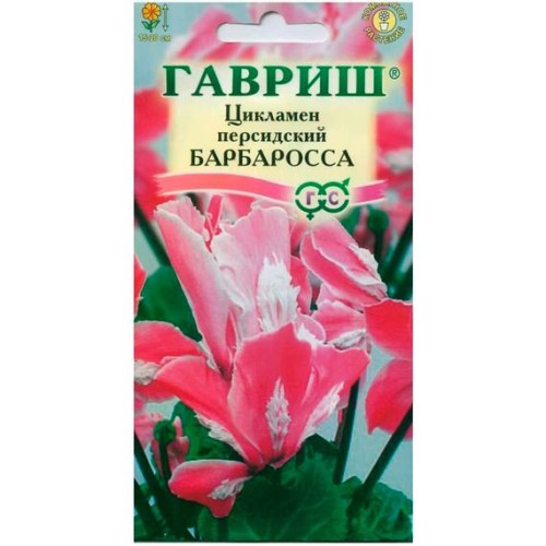 Цикламен персидский Барбаросса 3шт (Гавриш)