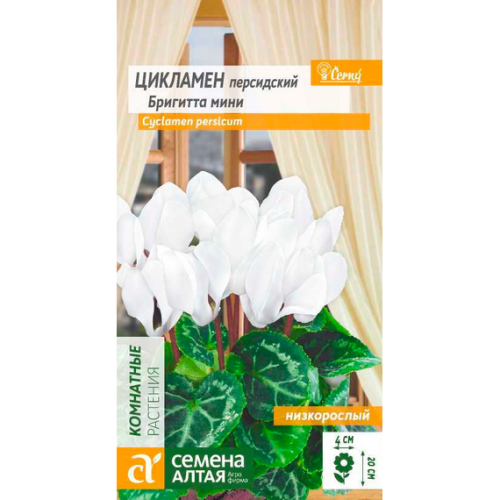 Цикламен персидский Бригитта мини 3шт (Семена Алтая)