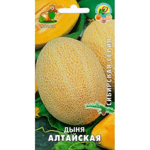 Дыня Алтайская 15шт (Поиск)