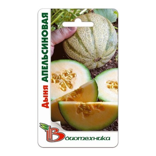 Дыня Апельсиновая 8шт (Биотехника)