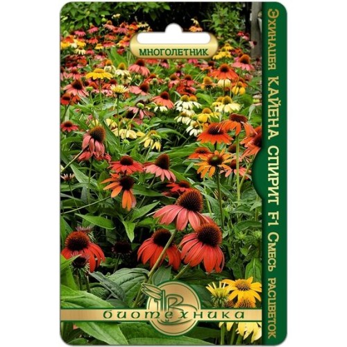 Эхинацея Кайена Спирит F1 5шт (Биотехника)