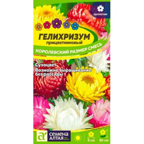 Гелихризум прицветниковый Королевский размер Смесь 0.1г (Семена Алтая)