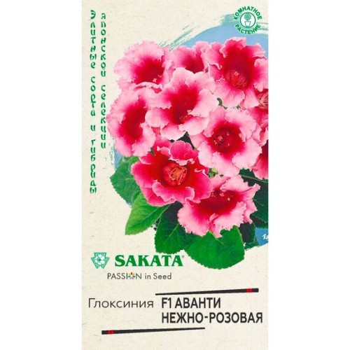 Глоксиния Аванти F1 нежно-розовая 5шт (Гавриш)