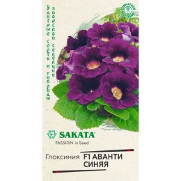 Глоксиния Аванти F1 синяя 5шт (Гавриш)