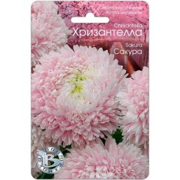 Астра китайская Хризантелла Сакура 40шт (Биотехника)