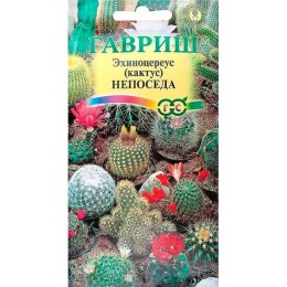 Эхиноцереус шарлаховый (кактус) Непоседа 0.05г (Гавриш)