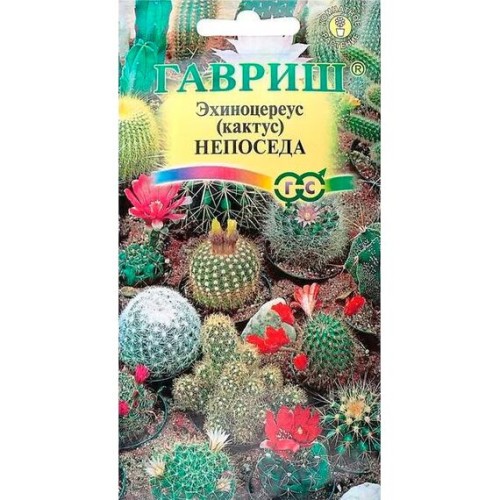 Эхиноцереус шарлаховый (кактус) Непоседа 0.05г (Гавриш)