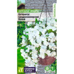 Катарантус Средиземноморский Белый 5шт (Семена Алтая)