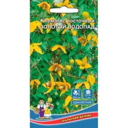 Клематис восточный Золотой Водопад 12шт (Уральский Дачник)