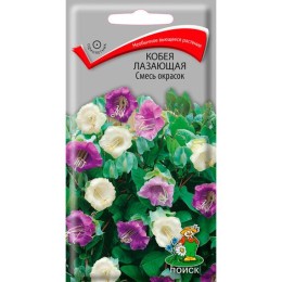 Кобея лазающая Смесь окрасок 5шт (Поиск)