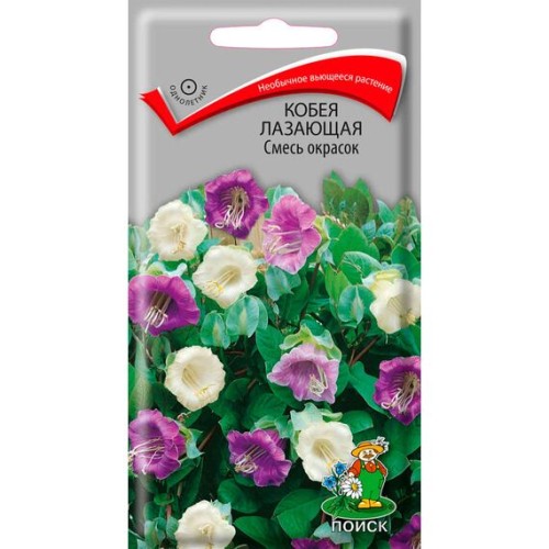 Кобея лазающая Смесь окрасок 5шт (Поиск)