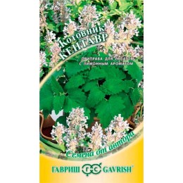 Котовник Кентавр "Семена от автора" 0.2г (Гавриш)