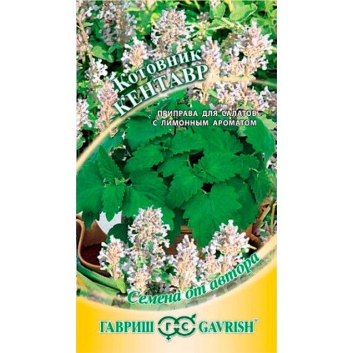 Котовник Кентавр "Семена от автора" 0.2г (Гавриш)