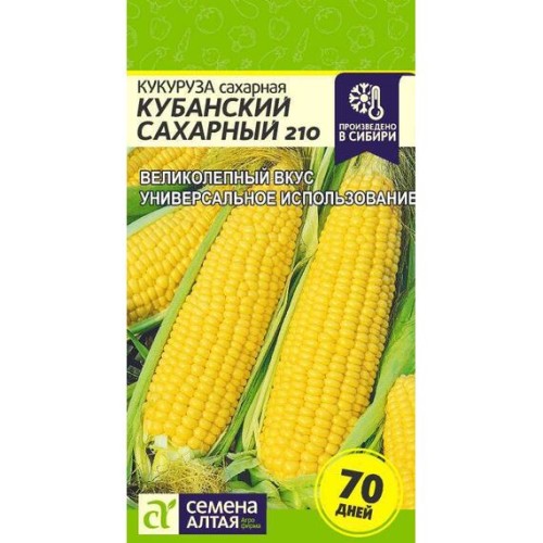 Кукуруза сахарная Кубанский сахарный 210 5г (Семена Алтая)