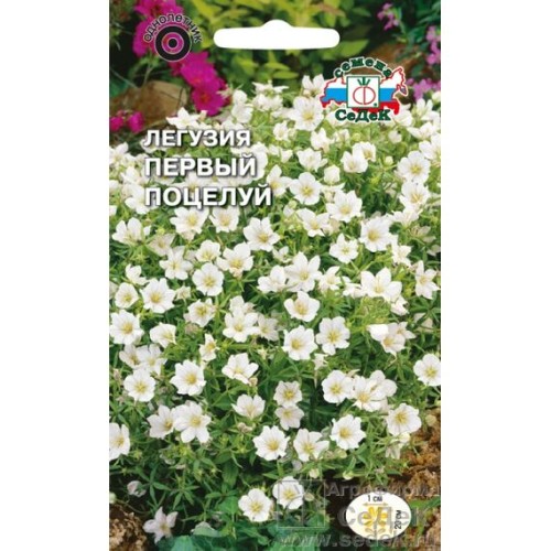 Легузия Первый поцелуй 0.2г (СеДеК)
