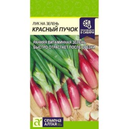 Лук на зелень Красный Пучок 0.3г (Семена Алтая)