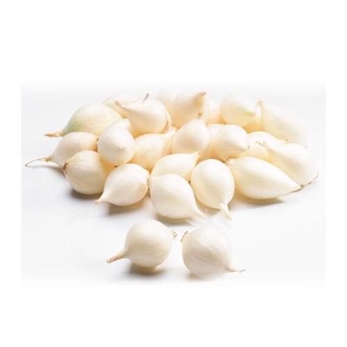 Лук севок Стардаст 21-28 фракция 1кг (Россия)