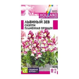 Львиный зев Снэппи Пламенная орхидея "Семена из Голландии" 7шт (Семена Алтая)