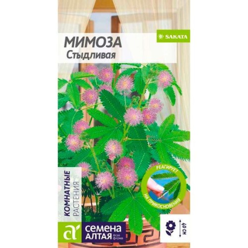 Мимоза Стыдливая 0.1г (Семена Алтая)