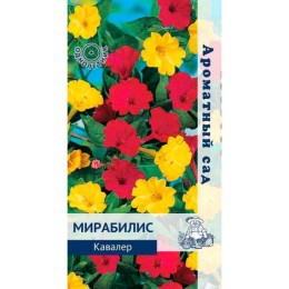 Мирабилис Кавалер (Поиск)