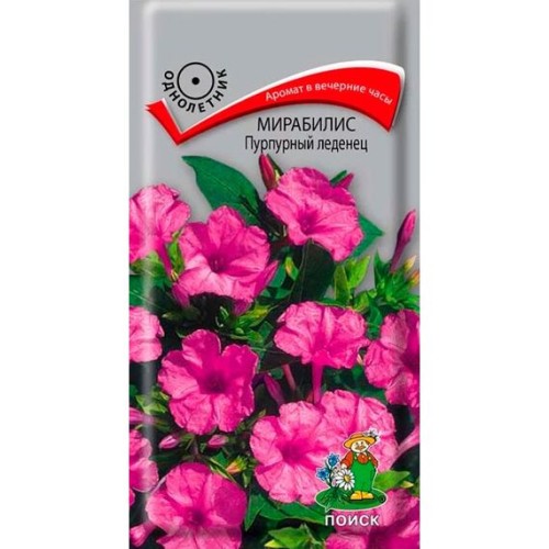 Мирабилис Пурпурный леденец 1г (Поиск)