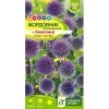 Мордовник обыкновенный Фиолетовый  0.2г (Семена Алтая)