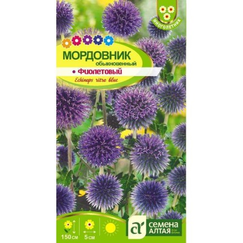 Мордовник обыкновенный Фиолетовый  0.2г (Семена Алтая)