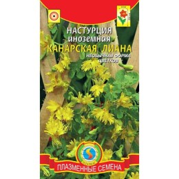 Настурция иноземная Канарская лиана (Плазмас)