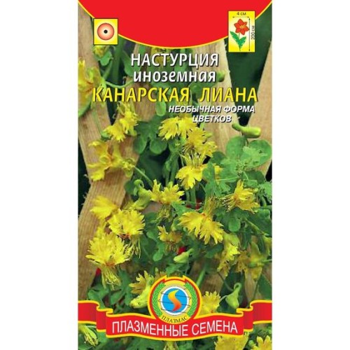 Настурция иноземная Канарская лиана (Плазмас)