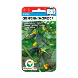 Огурец Сибирский экспресс F1 7шт (Сибирский Сад)