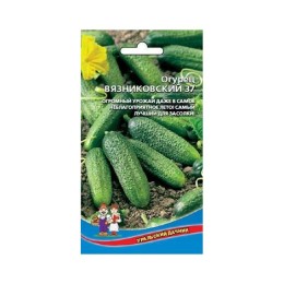 Огурец Вязниковский 37 20шт (Уральский дачник)