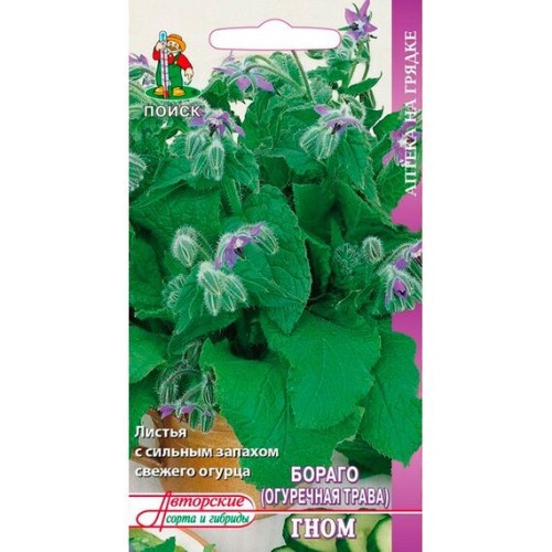 Бораго (огуречная трава) Гном "Аптека на грядке" 0.5г (Поиск)