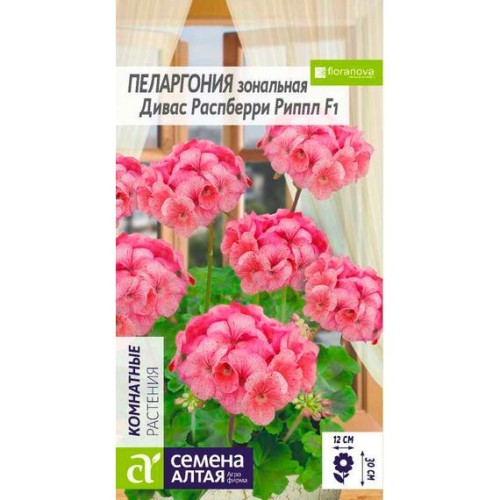 Пеларгония зональная Дивас Распберри Риппл F1 3шт (Семена Алтая)
