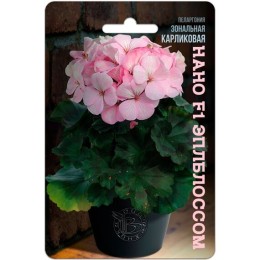 Пеларгония зональная карликовая Нано F1 Эплблоссом  5шт (Биотехника)