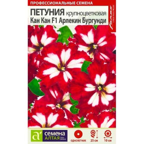 Петуния крупноцветковая Кан Кан F1 Арлекин Бургунди 5шт (Семена Алтая)