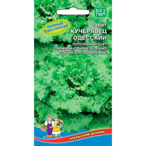 Салат Кучерявец одесский 0.3г (Уральский дачник)
