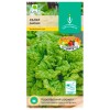 Салат Зайчик 1г (Евро-семена)