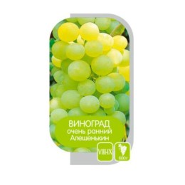 Виноград Алешенькин (Семена Алтая)