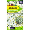 Ясколка Биберштейна 0.05г (Семена Алтая)