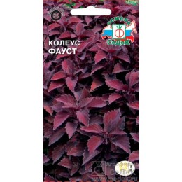 Колеус Фауст 0.1г (СеДеК)