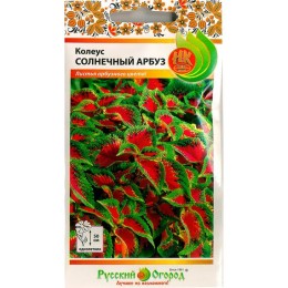 Колеус Солнечный арбуз 3шт (Русский огород)