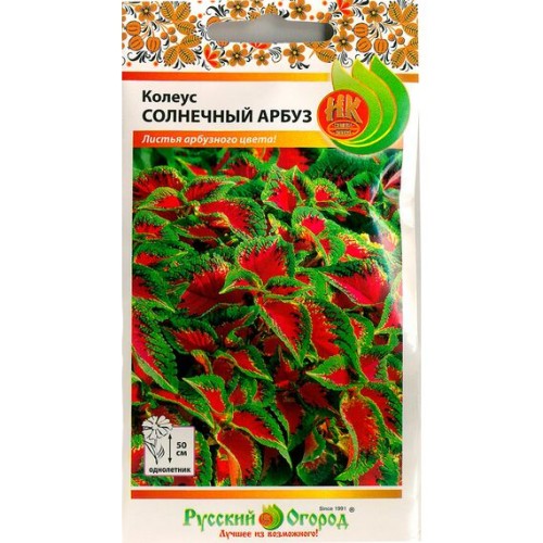 Колеус Солнечный арбуз 3шт (Русский огород)