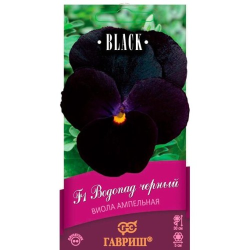 Виола Виттрока ампельная F1 Водопад черный  5шт (Гавриш)