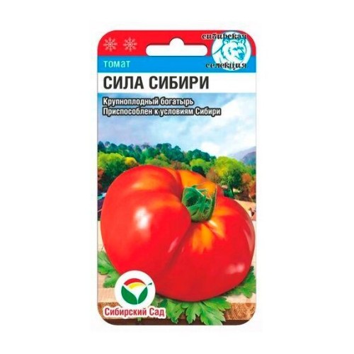 Томат Сила Сибири 20шт (Сибирский Сад)