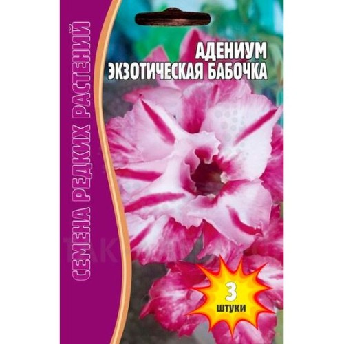 Адениум Экзотическая бабочка 3шт (Семена редких растений)
