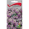 Алиссум Фиолетовая королева 0.3г (Поиск)